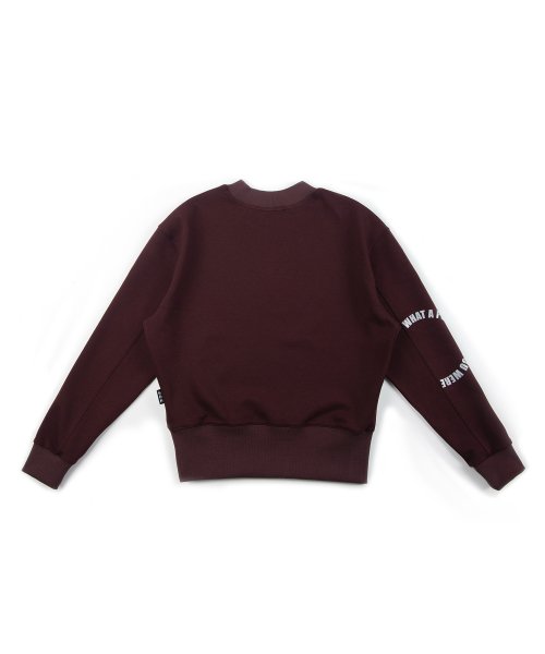 Свитшот с графикой DER 01 Burgundy