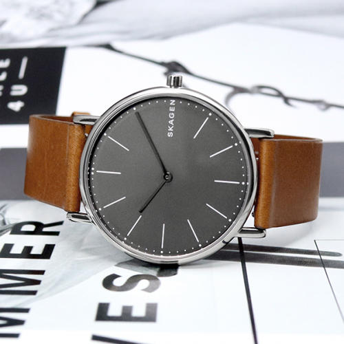 Skagen skw6429 online