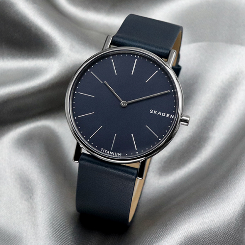 Skagen skw6481 online