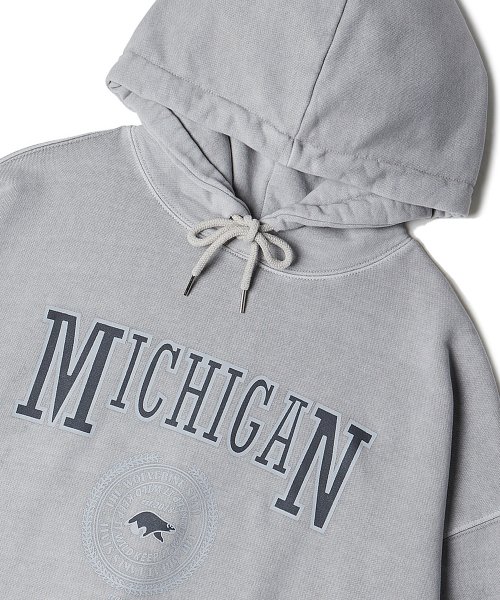 Michigan Wolverines пигментный худи Ghost Gray