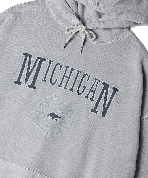 Michigan Wolverines пигментный худи Ghost Gray