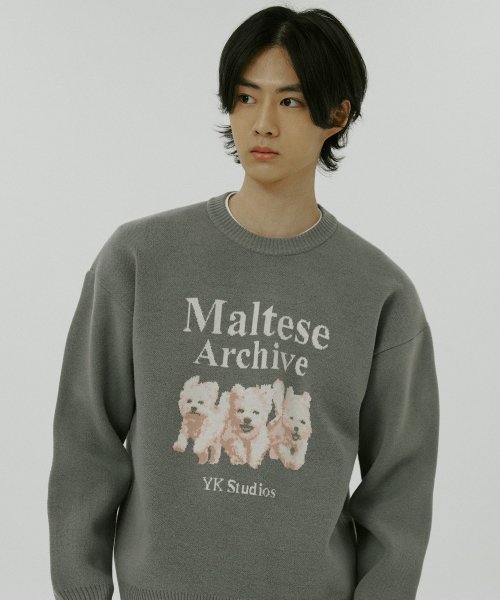 Maltese sweater hot sale