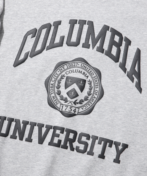 Свитшот UNIVERSITY SEAL LIGHT TERRY Melange Gray