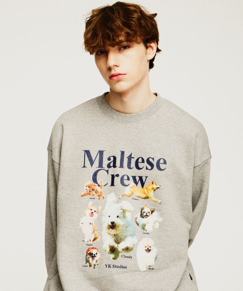 MUSINSA | ワイケイ Maltese Crew Sweatshirt Gray