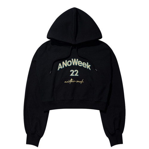 ANW EMBROIDERY CROPPED HOODIE
