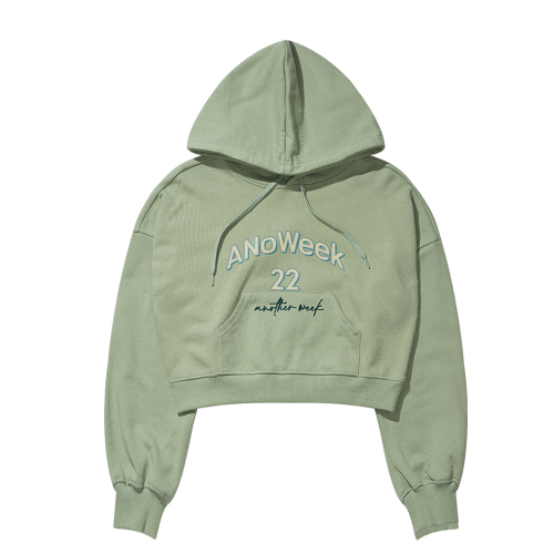 ANW EMBROIDERY CROPPED HOODIE