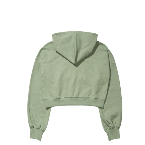 ANW EMBROIDERY CROPPED HOODIE