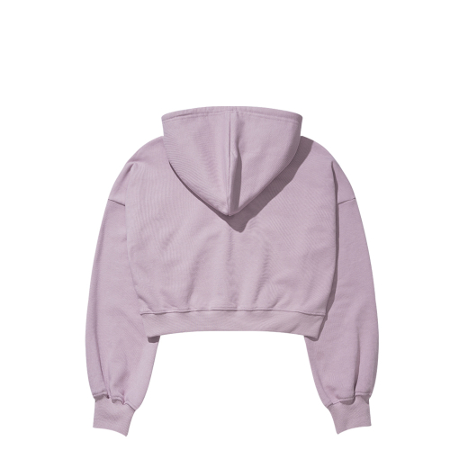 ANW EMBROIDERY CROPPED HOODIE