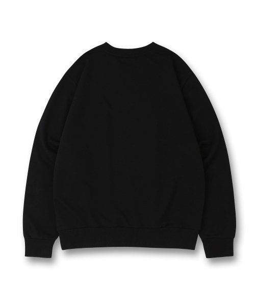 Dolphin Authentic лого свитшот Black
