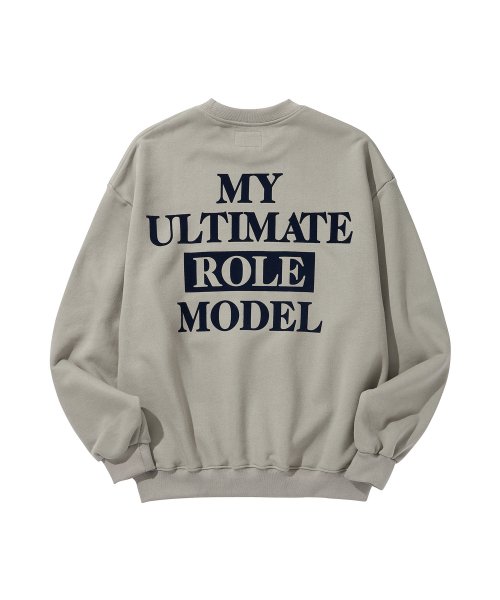 HOUSEHOLD SWEATSHIRT / STORMDUST