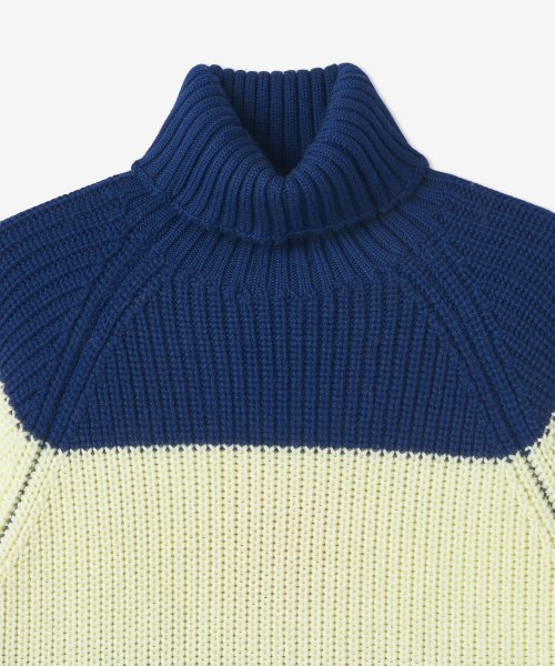 Полосатый свитер с горлом - Light Yellow:Electric Blue / CRTWMKNW002KNT016LYEB