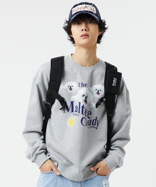 MUSINSA | WAI KEI Maltese Cloudy Sweatshirt Gray