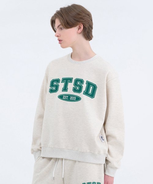 [SET] Худи с логотипом STSD и джоггеры, комплект 2P Oatmeal