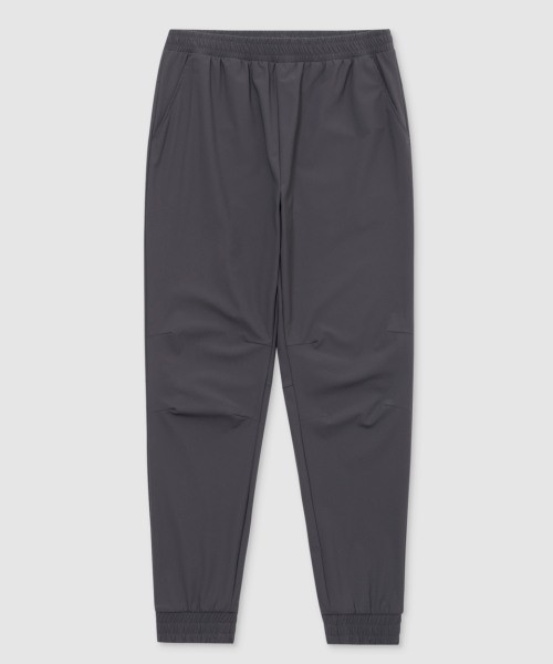 Flex slim fit джоггеры (2 цвета)
