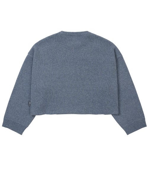 아조바이아조(AJOBYAJO) Total Logo Cropped Sweater [SKY BLUE