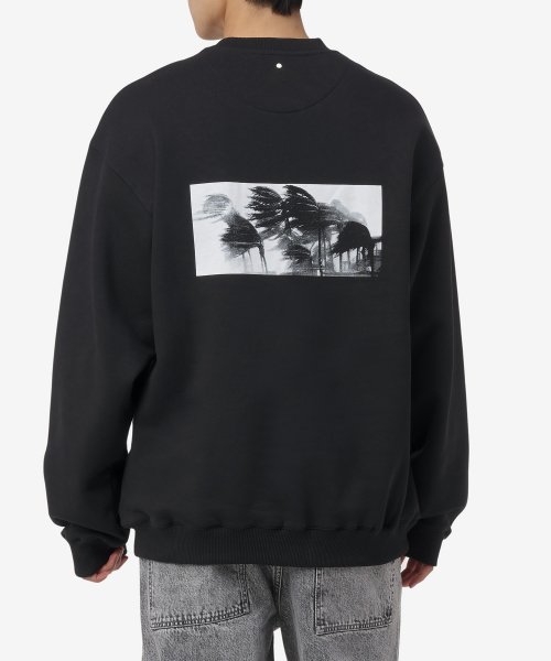 Свитшот с графикой Palms — Black / 23A28OAJ15COT00910001