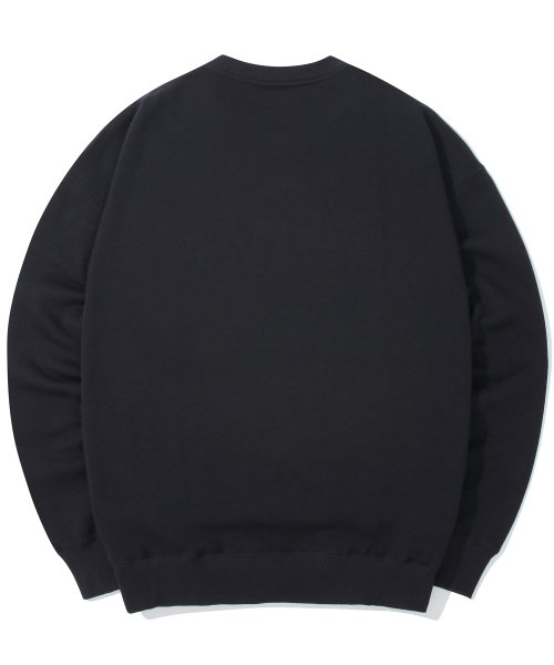 UNIVERSITY SEAL FLEECE SWEATSHIRTS Navy
