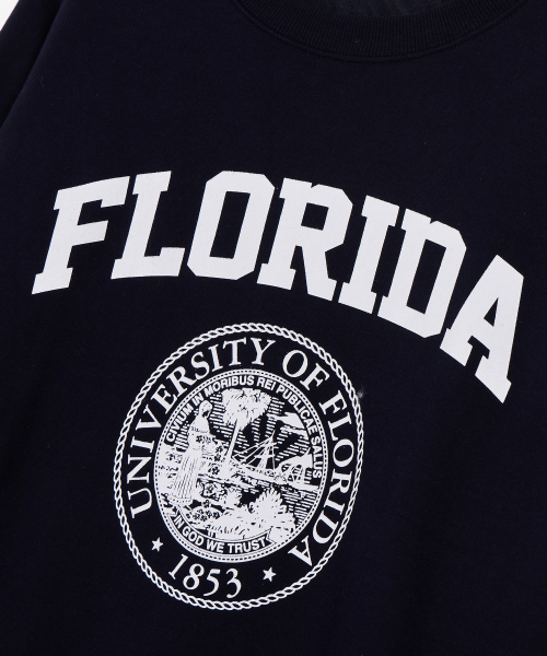 Свитшот оверсайз Florida Navy