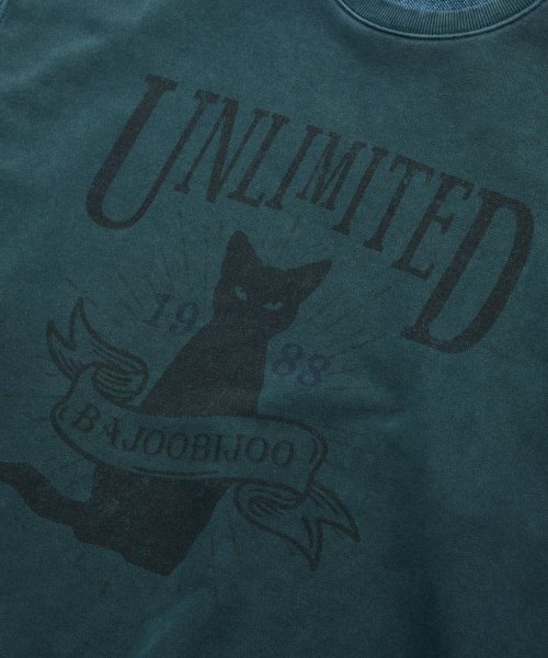 Unlimited Cat Pigment свитшот [синий зелёный]
