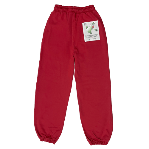 Red best sale hanes sweatpants