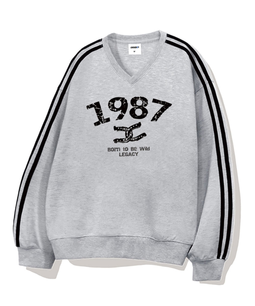Оверсайз свитшот 1987 Wild с V-вырезом, 5 цветов [CRDV_4003]