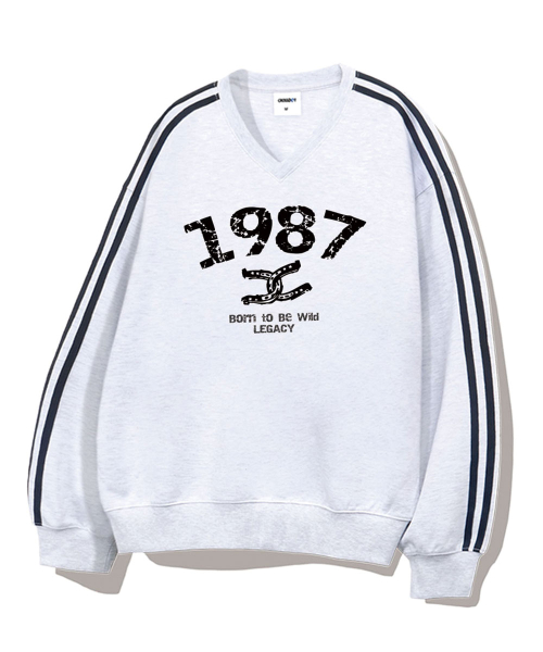 Оверсайз свитшот 1987 Wild с V-вырезом, 5 цветов [CRDV_4003]