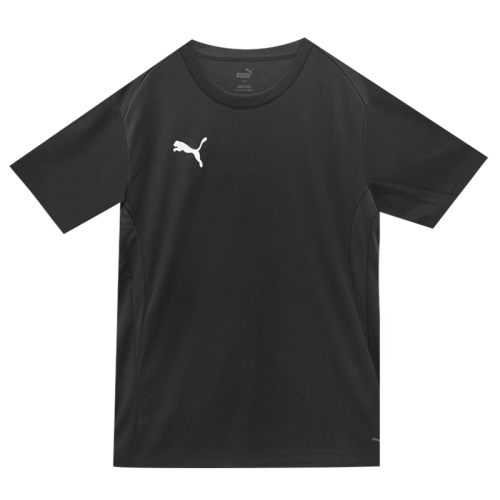 Футболка Team Goal Jersey Asian Fit (65940303)