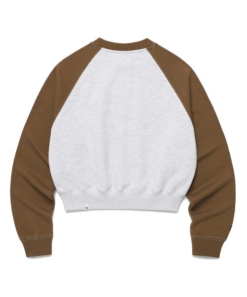 толстовка коричневая RAGLAN