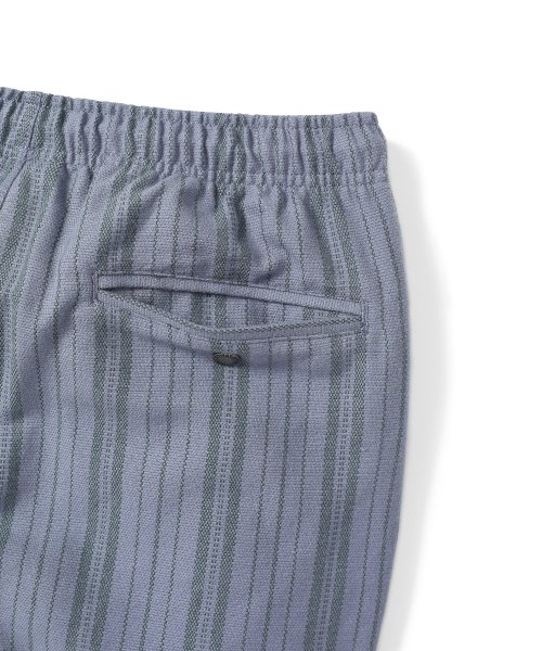 полоска Jacquard Pant Purple Grey