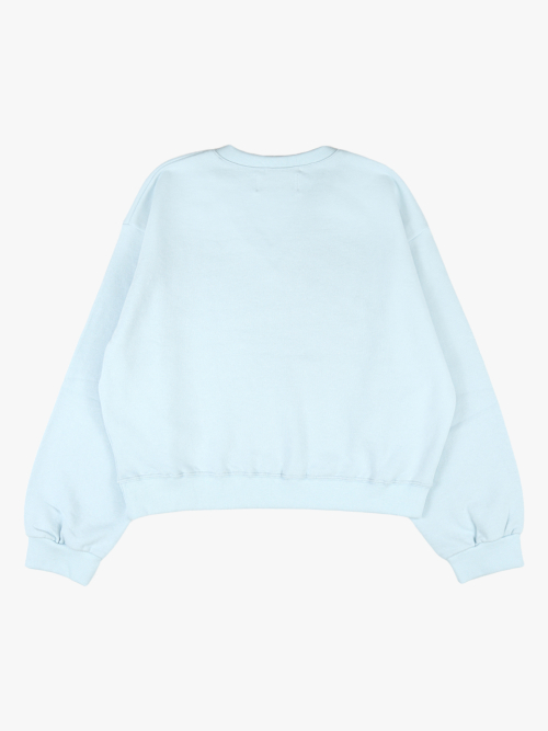 RIBBON PINEAPPLE MTM_SKY BLUE