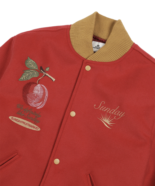 APPLE VARSITY Пиджак RED
