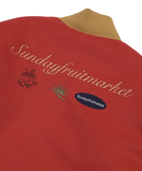 APPLE VARSITY Пиджак RED