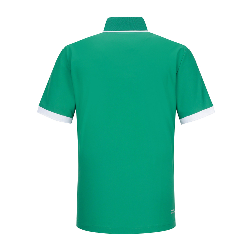 Basic Fit Polo Shirts_Green (Men)