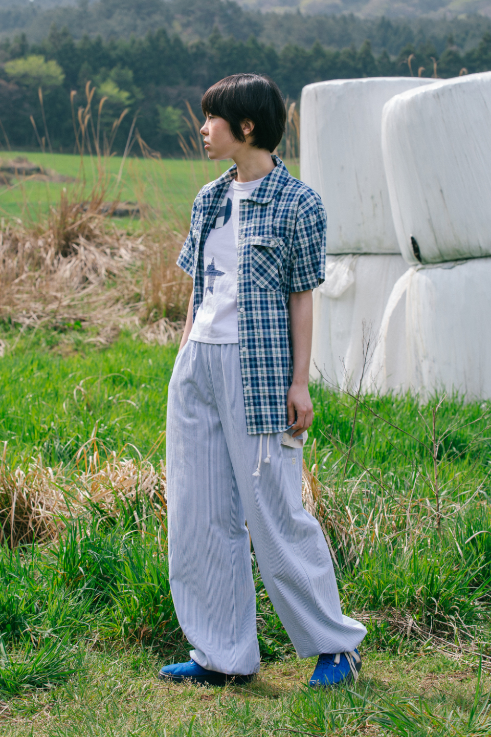 カーペンター ストライプド アンセアス 120 カーペンター ストライプド