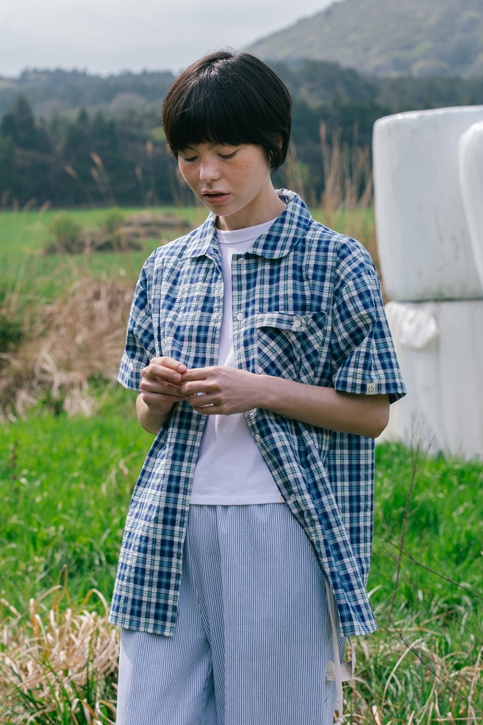 カーペンター ストライプド アンセアス 120 楽天市場】カーペンター