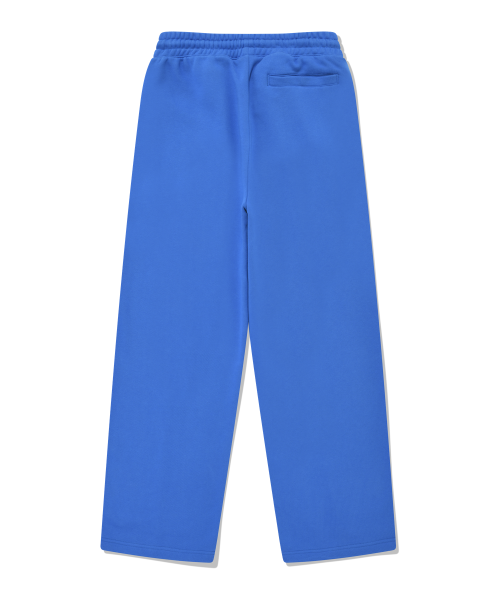 Женские спортивные брюки 2WAY Blue
