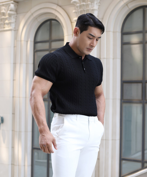 Muscle Fit Cable Collar Neck Short Sleeve Knit A212