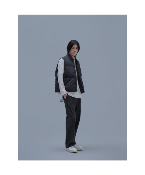 Ordinary OneTuck Slacks Ash