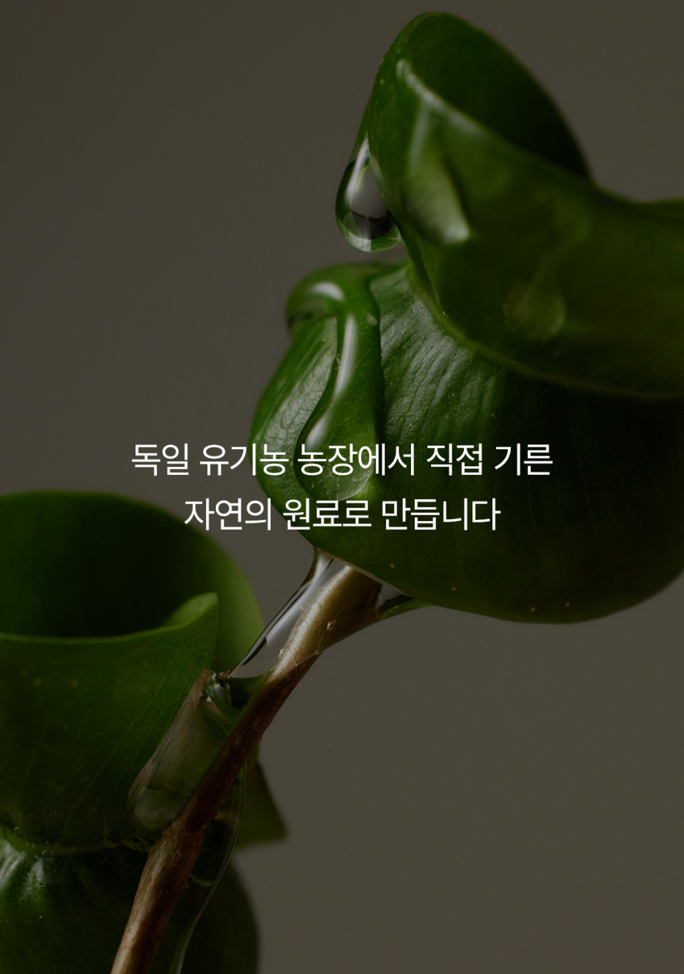 content-img-21