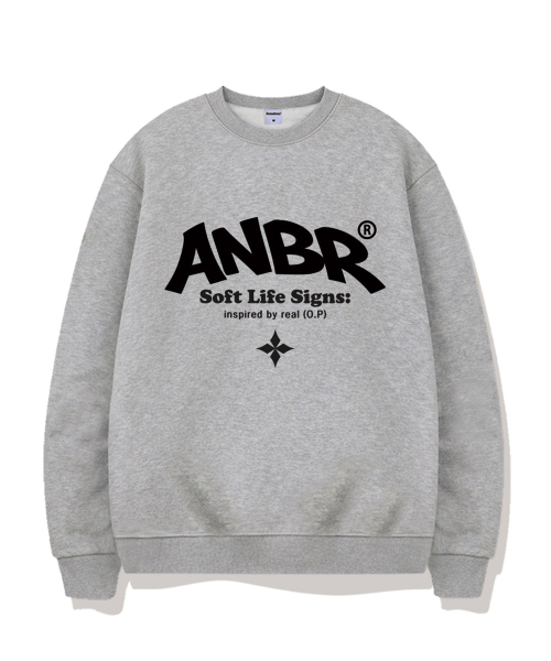 Lifearch оверсайз свитшот 5 цветов [ANBM_9002]