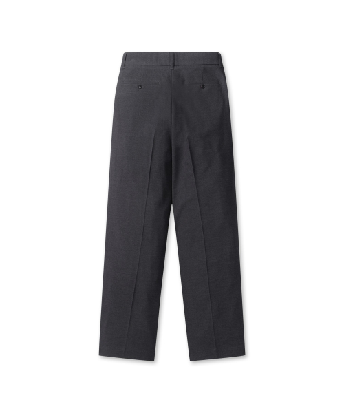 [Brenzwood X Portners] Two Tuck Wide Slacks BIPNX24911GYD
