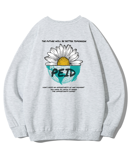 Оверсайз свитшот PD Half Daisy 2Color