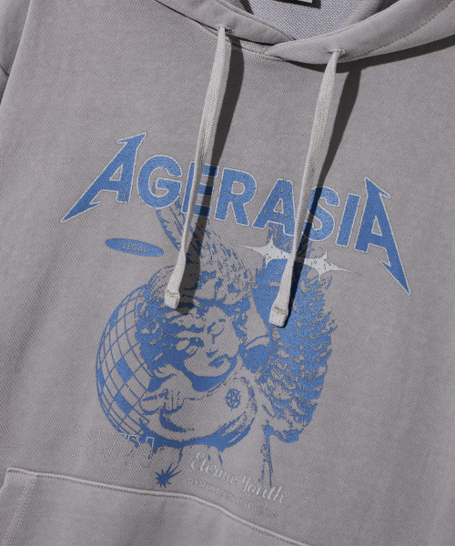 HVN PIGMENT HOODIE(серый)