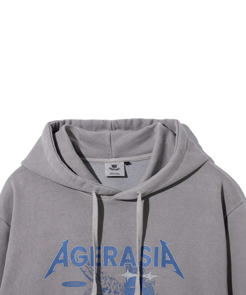 HVN PIGMENT HOODIE(серый)
