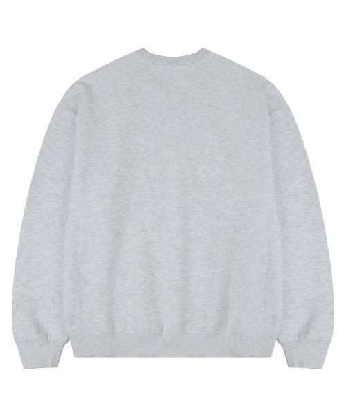3D 453520 Sweatshirts DCMT003WLGray