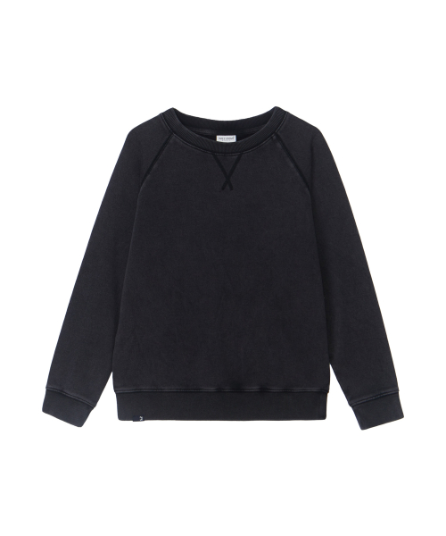 Свитшот реглан с начесом [Recycled] 3 COLOR