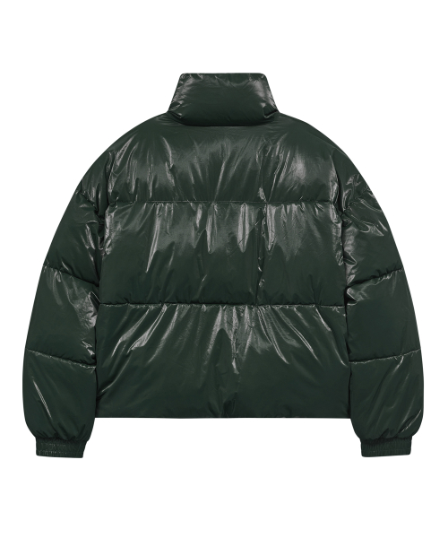 Глянцевый короткий пуховик с высоким горлом 86-IRO339 Green