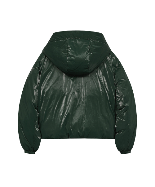 Глянцевый укороченный пуховик с капюшоном 85-VIVA042 Green
