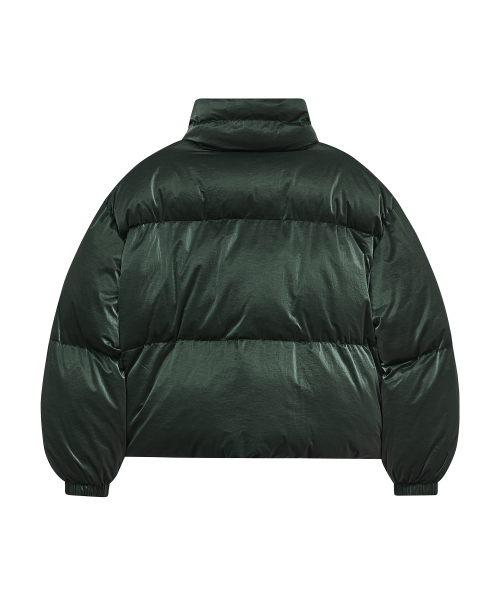 Короткий глянцевый пуховик 85-VIVA045 Green