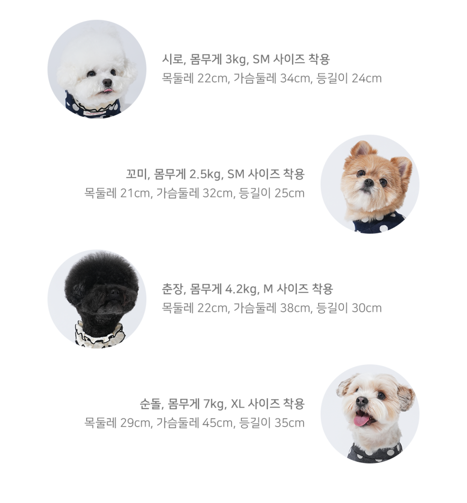 제품을 입은 모델 견들의 신체 사이즈 정보